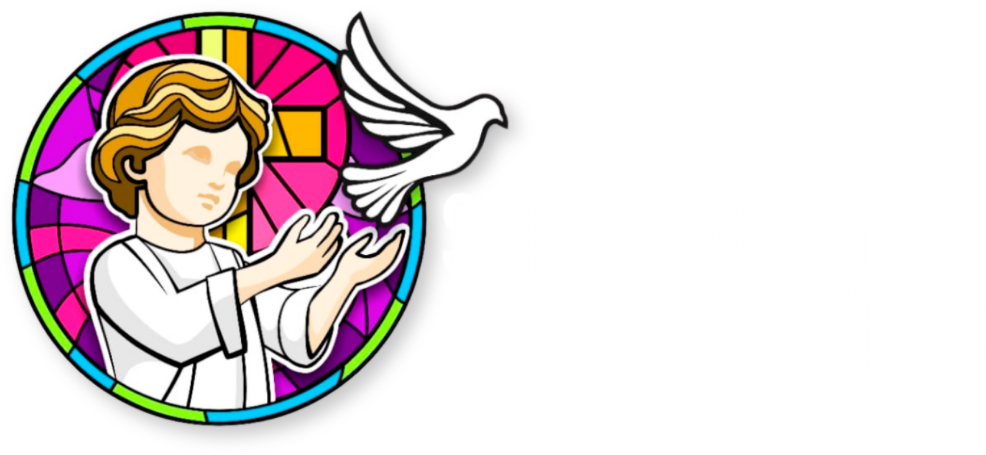 niniodelaspalomitas.org.mx